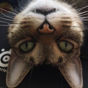 Meet your Posher, Kate